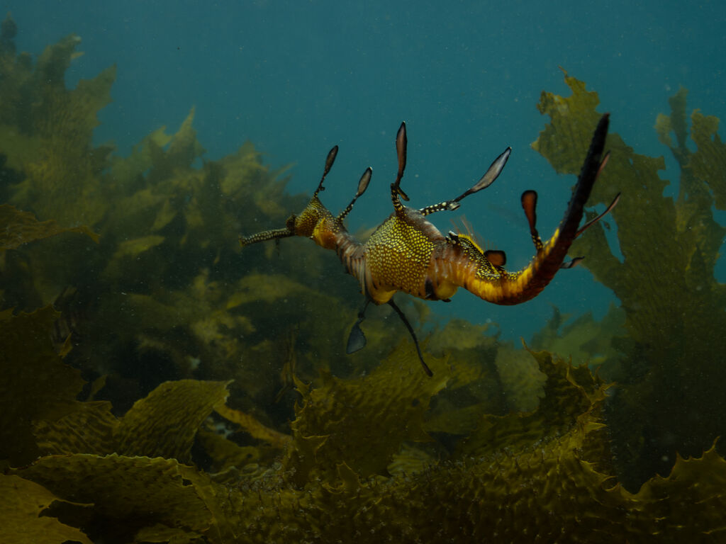 d2c1c4f5-3979-4d13-8943-f190cf8b1b90