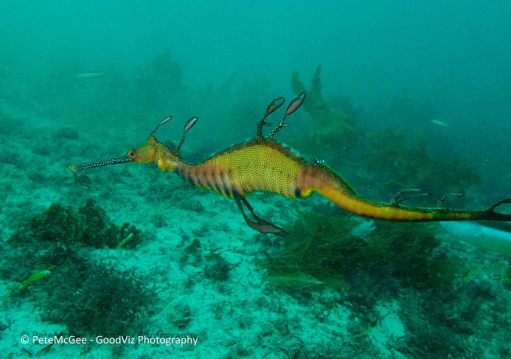 ae79e297-a508-4762-8bb2-3215428c009a