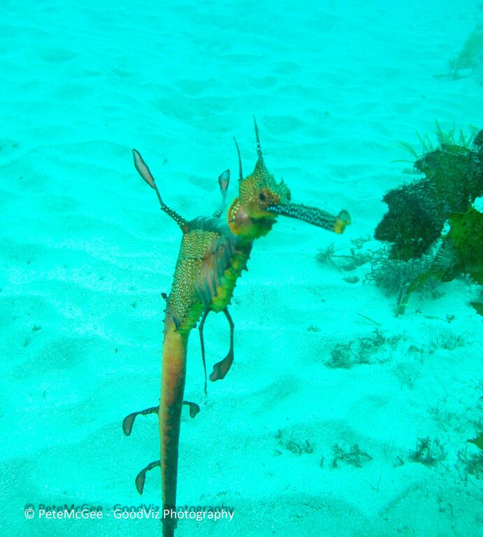 ae79e297-a508-4762-8bb2-3215428c009a