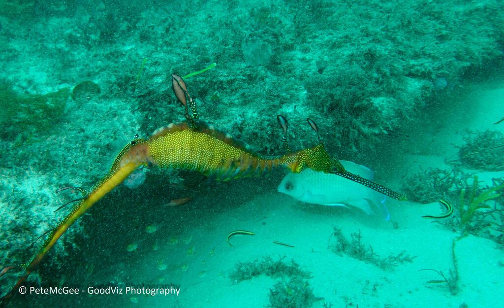 ae79e297-a508-4762-8bb2-3215428c009a