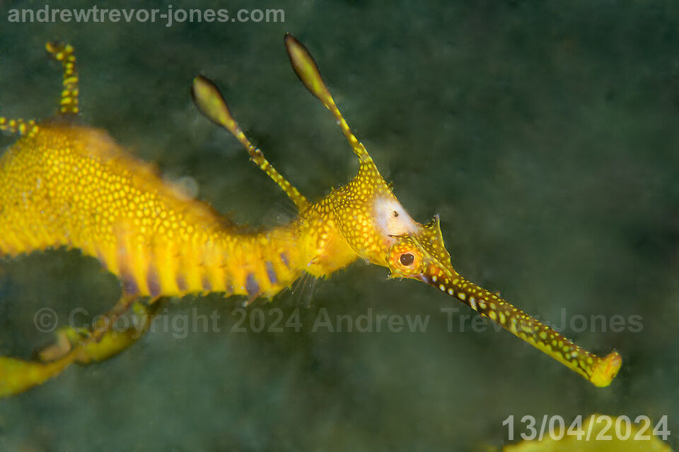 3d62e8ae-88b8-435f-b14d-5bc86b3262c6