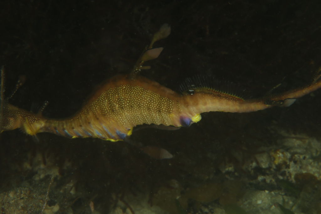 2a5890b0-f787-4df1-b4a0-99a27426d05e