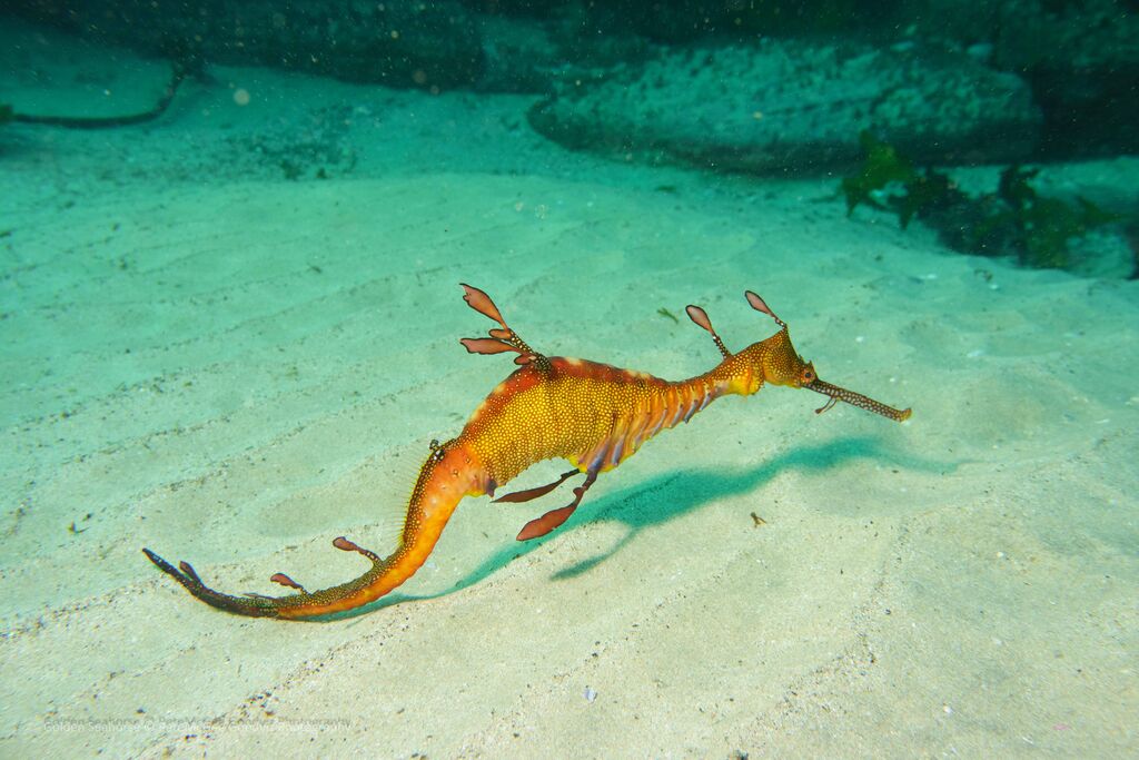 f800613b-ed15-45b0-8530-2caacd4e5376