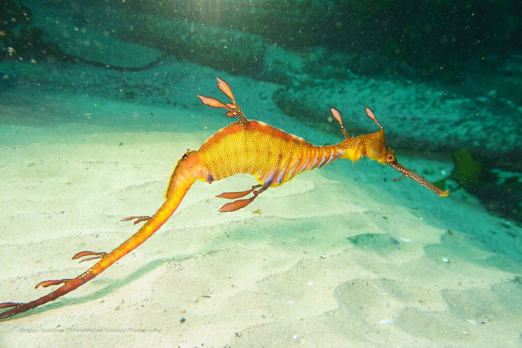 f800613b-ed15-45b0-8530-2caacd4e5376