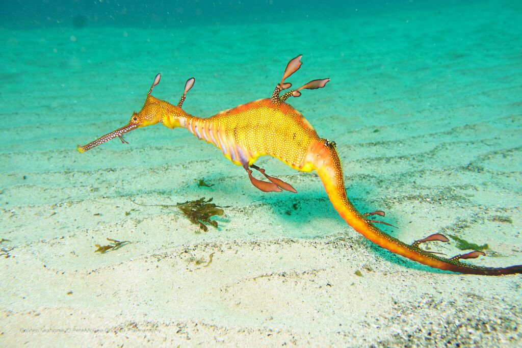 f800613b-ed15-45b0-8530-2caacd4e5376