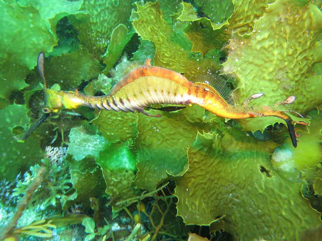 be6c2622-e107-4011-b226-e18e0b75a500