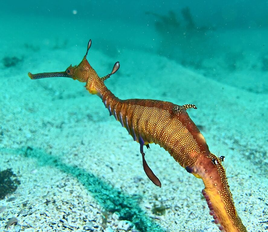 872b1e29-ebfa-4a70-963d-74faaad2f890