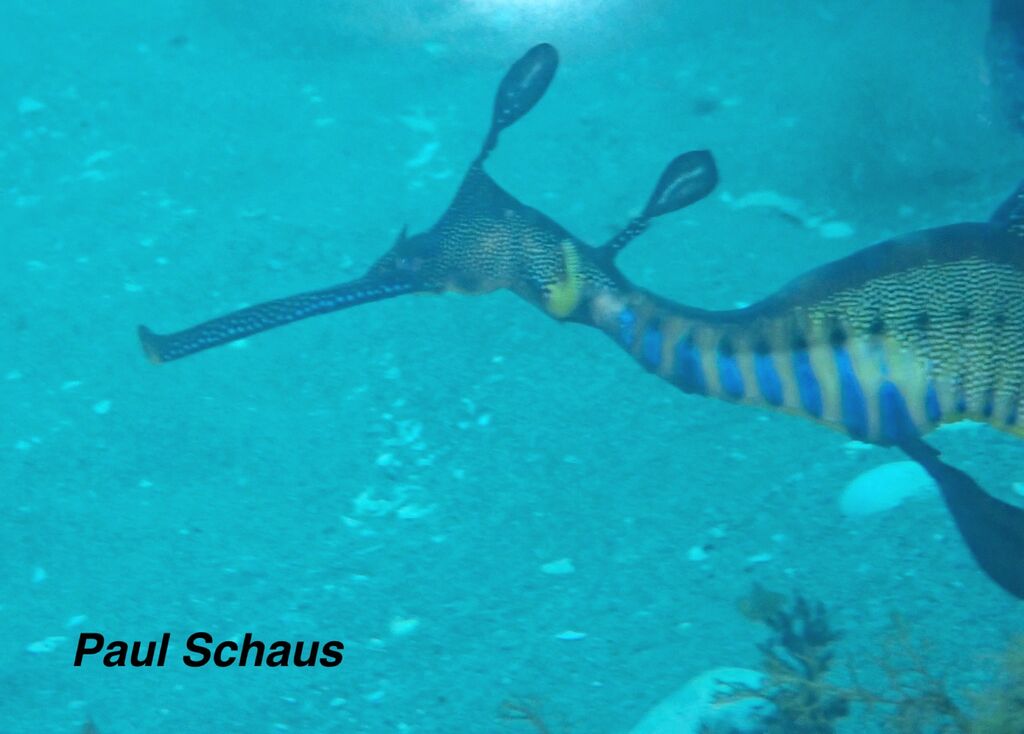 98097c42-f7c2-449a-a3cd-078448af25ae