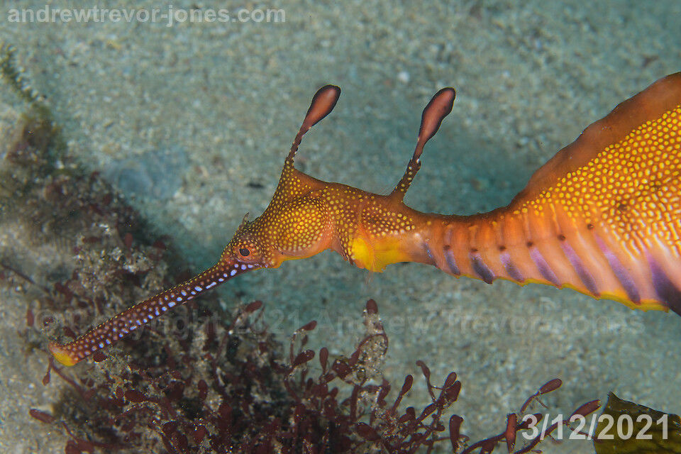 669125cb-42e5-4935-90f4-45e3039ec8a7