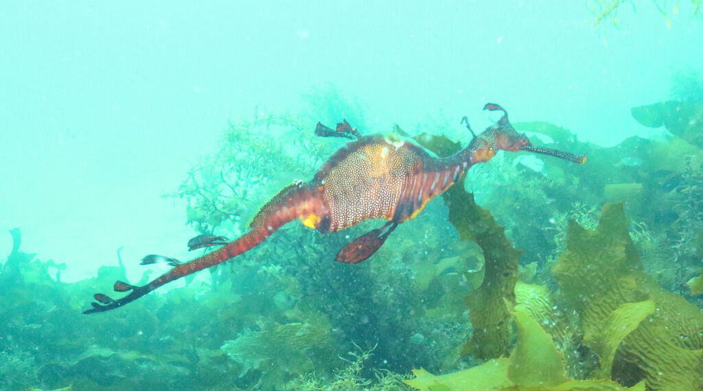 fdd5b70a-b8a0-4328-a29c-4866cf278ed1