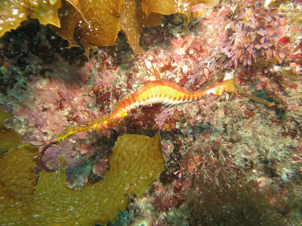 7145140c-acfe-4c24-98b1-56b2a0ca77cd