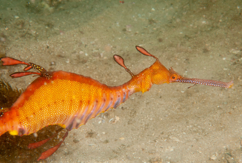 830430f1-2a6a-4ced-b902-cb1f249a918e