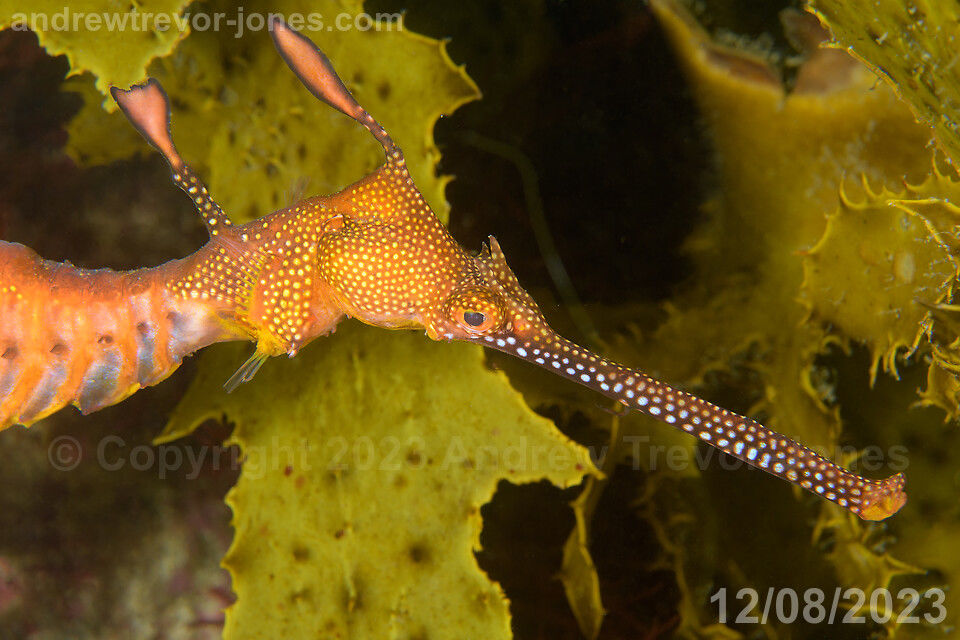 830430f1-2a6a-4ced-b902-cb1f249a918e