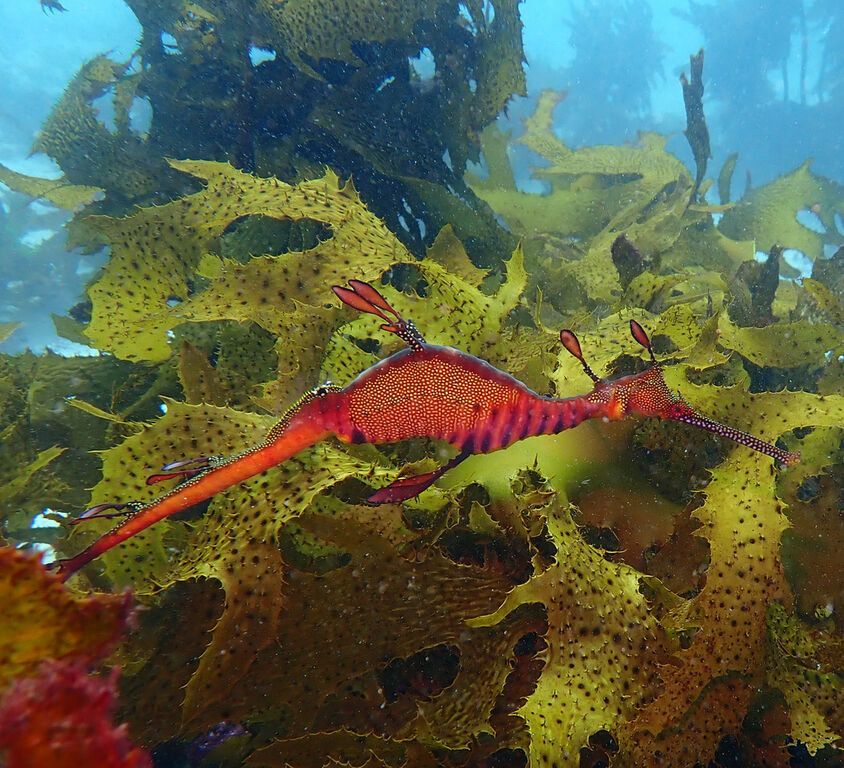 2d9f43b8-d523-4925-941c-b21a2ef3f51b