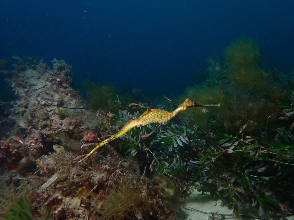 720716cc-e1e0-4e8e-b44f-a9ad1479aff8