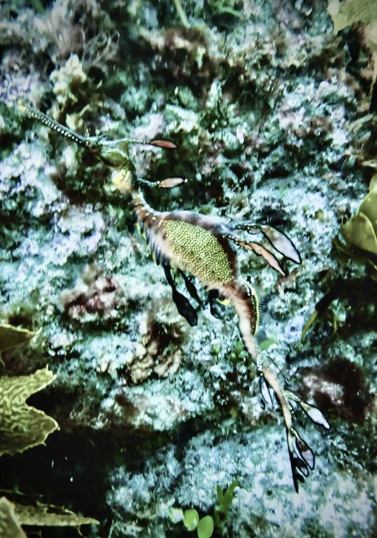 6014a666-c639-4bb7-8954-7b82b7cd8f88