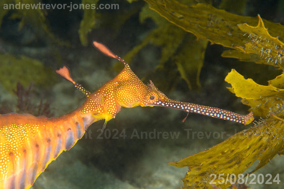 830430f1-2a6a-4ced-b902-cb1f249a918e