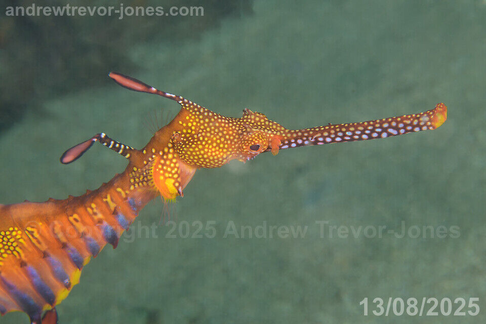 9b8f1e04-1018-4775-a3b1-4cb50c17edd5