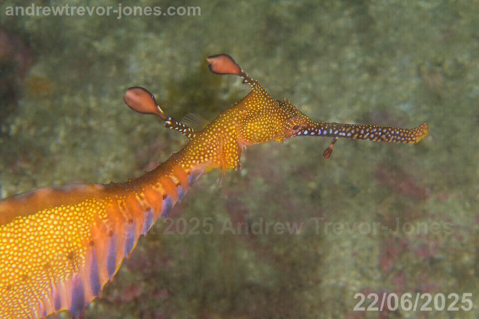 6b132964-11b6-45ca-9a98-86a0d1e4ba96