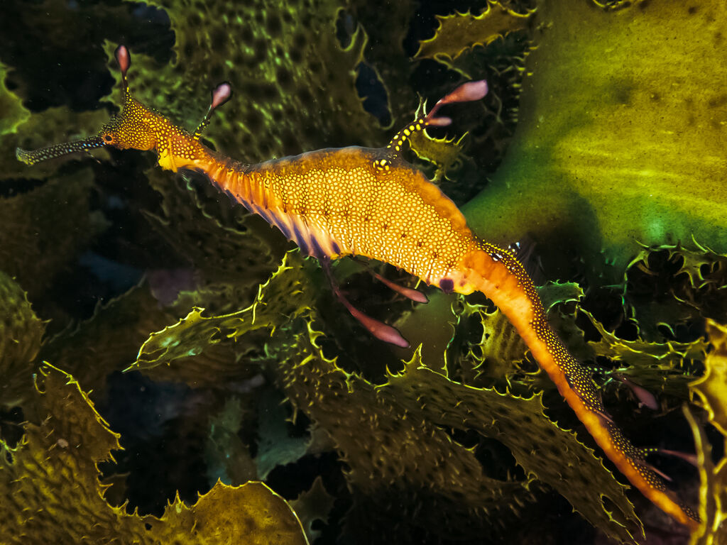 1843f428-a76b-49e3-9a7e-b9a649a79249