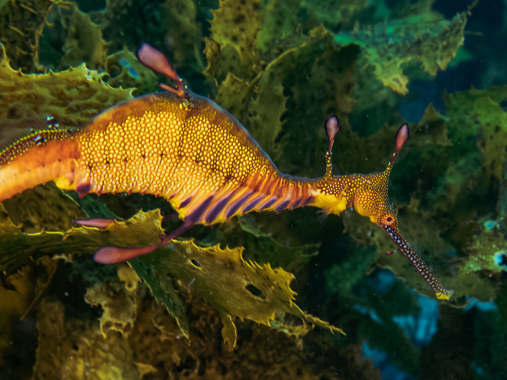 1843f428-a76b-49e3-9a7e-b9a649a79249