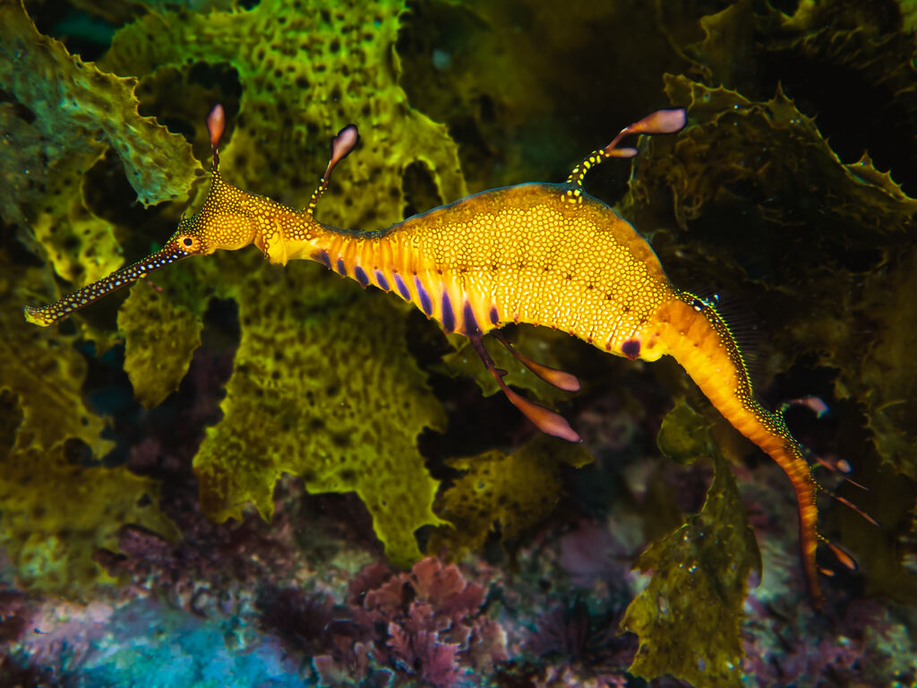 1843f428-a76b-49e3-9a7e-b9a649a79249