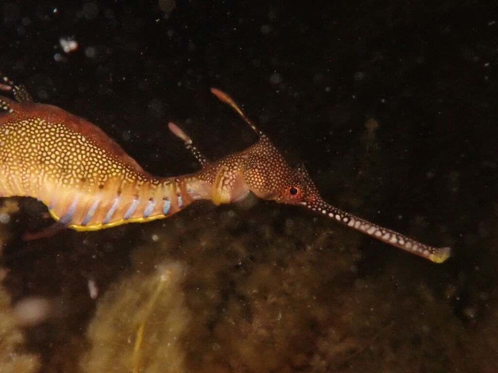 ddcd9603-6e12-4352-af1e-023cda7e0515