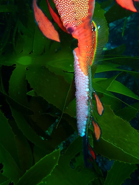 6b7ae8d4-93b1-455b-8142-750d85469505