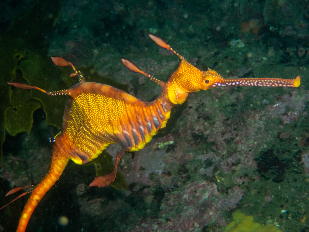 88ff591c-68d8-46f0-bea5-72e02f02b72e