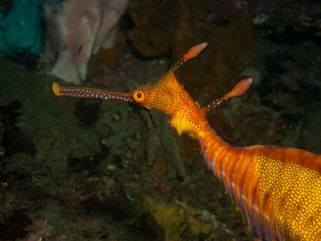 88ff591c-68d8-46f0-bea5-72e02f02b72e