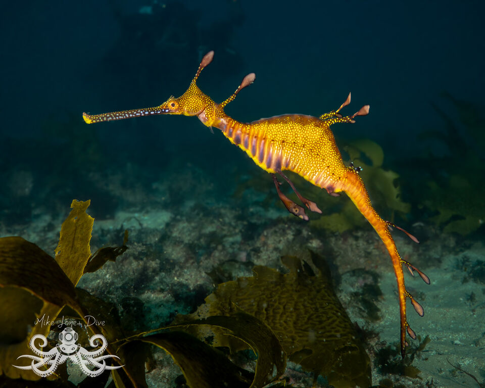 a2431045-21f5-4392-b4c1-4df5d26f9f98