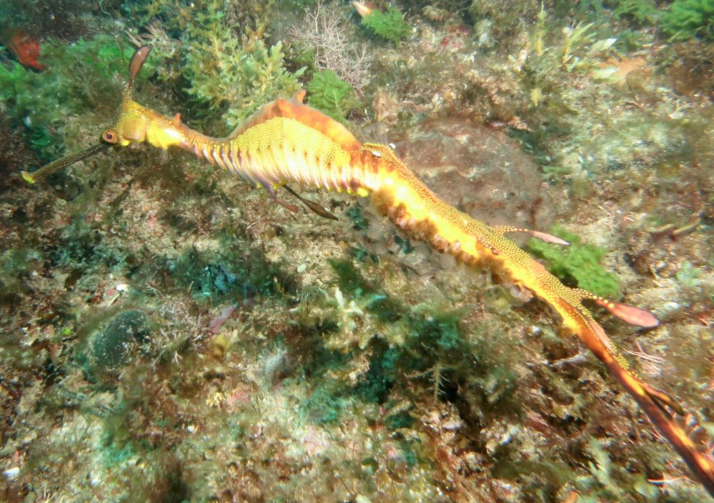 be6c2622-e107-4011-b226-e18e0b75a500