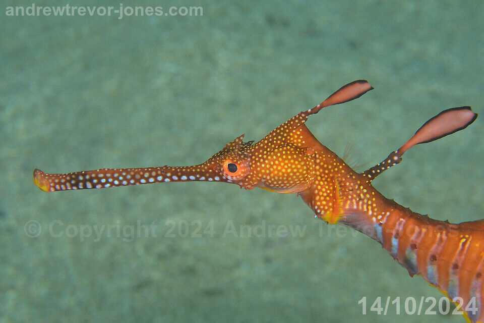 a1973755-f594-4722-9393-4866327b588c