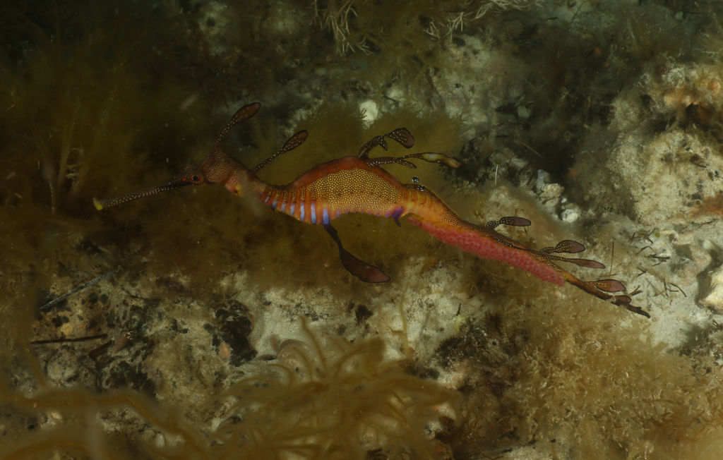 9270d278-91d8-4f94-b8ab-b6cb10c1a901