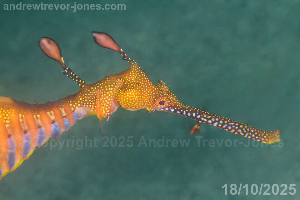 6b132964-11b6-45ca-9a98-86a0d1e4ba96