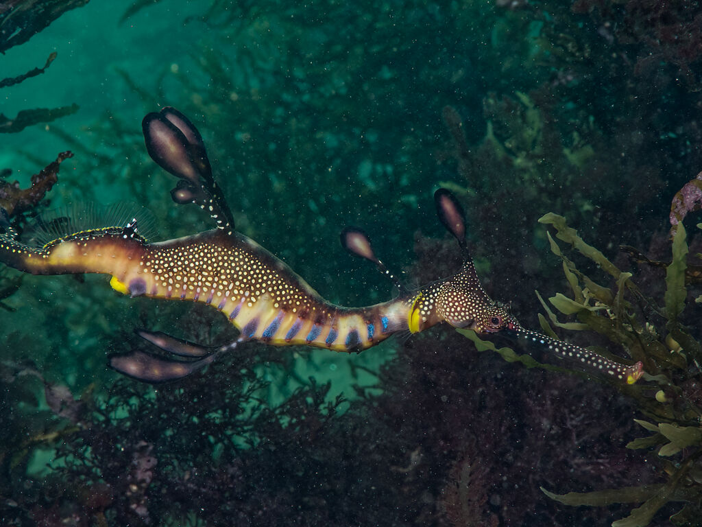 6c7443c2-5e24-437b-9797-08ec4a4ec8ff