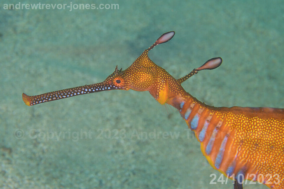 eeddec91-1a51-4207-8f13-bbe7af044e02