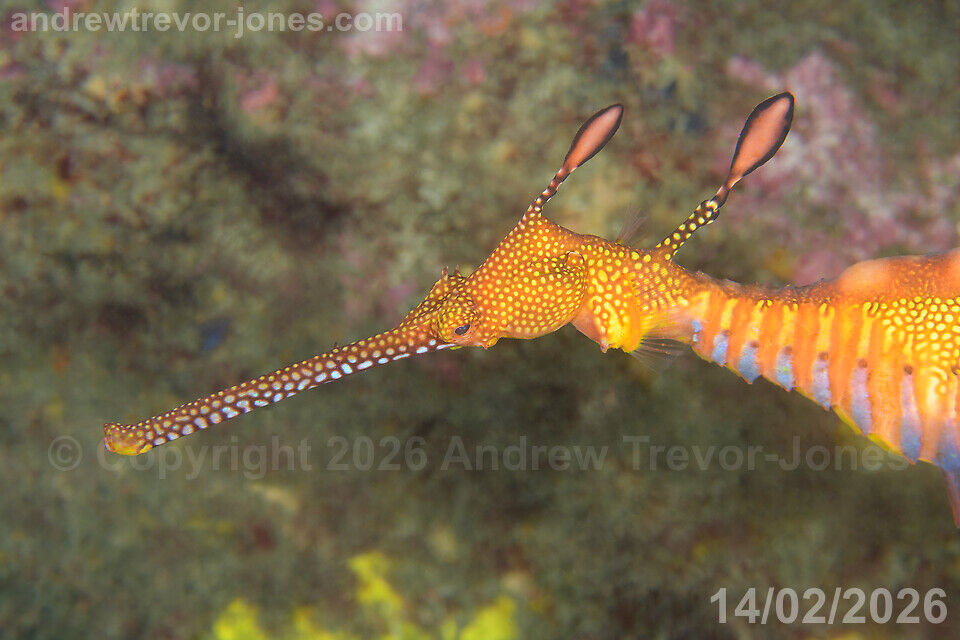 fe91530e-96c2-43e1-be18-b5fae1db7e6b