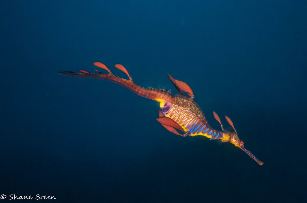 76b0d291-62a5-4e34-baf1-14eae110b94c