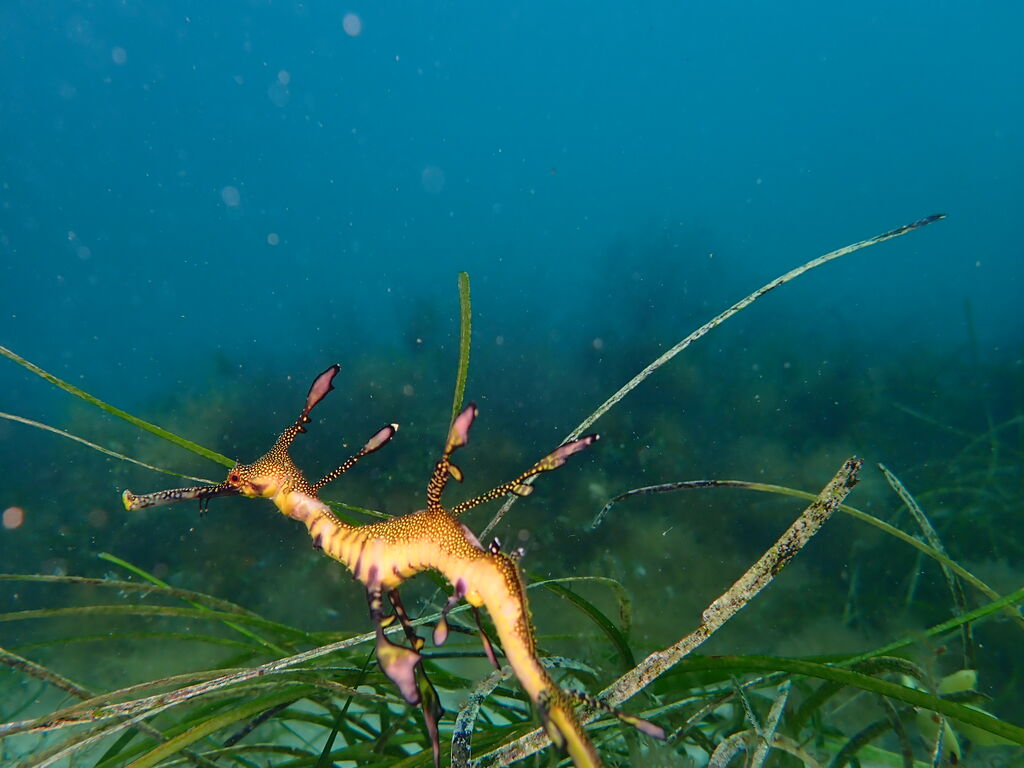 8ea8c043-9ca9-4839-b458-2e7f18ee81d8