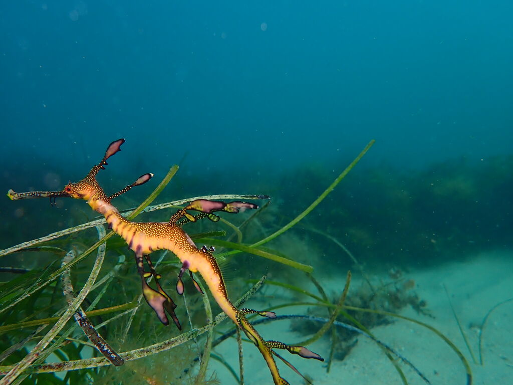 8ea8c043-9ca9-4839-b458-2e7f18ee81d8