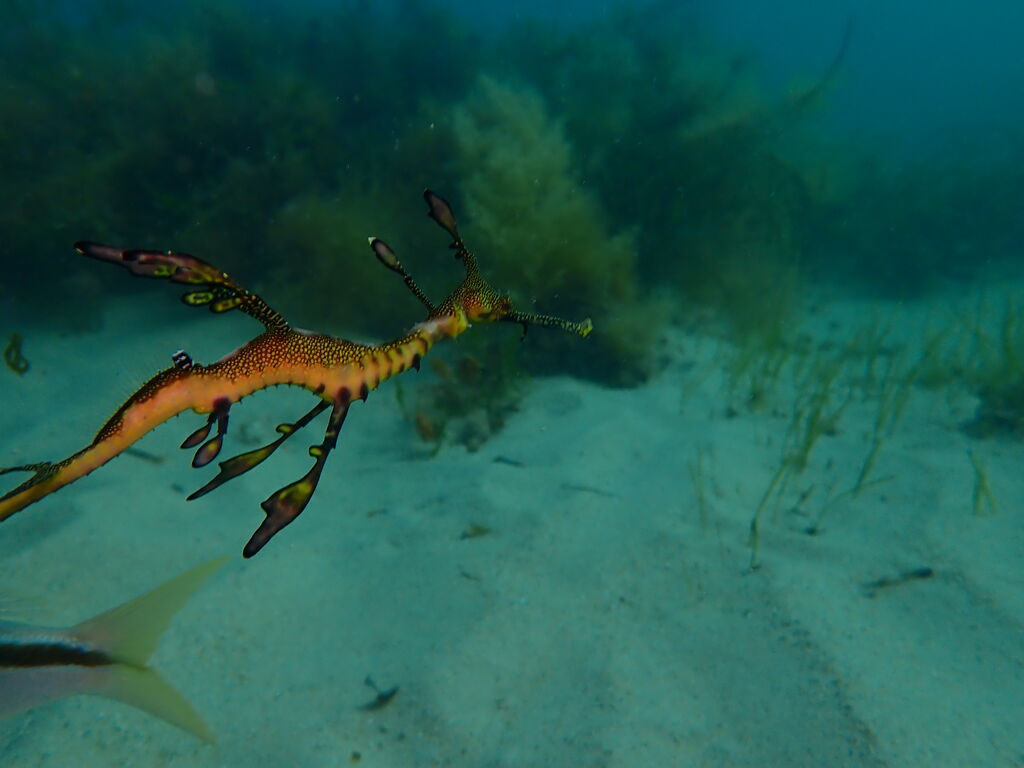 8ea8c043-9ca9-4839-b458-2e7f18ee81d8