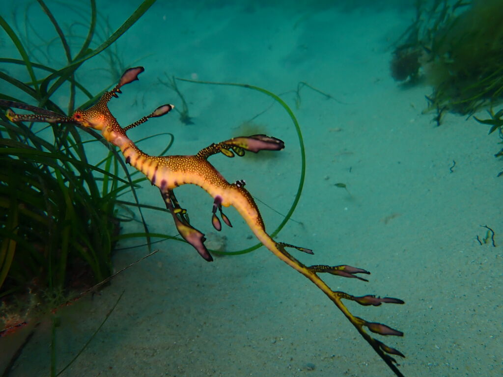 8ea8c043-9ca9-4839-b458-2e7f18ee81d8