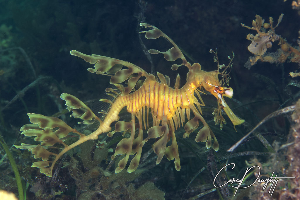 1652ac47-925b-4ae5-8ee8-aefcb7da9bf5