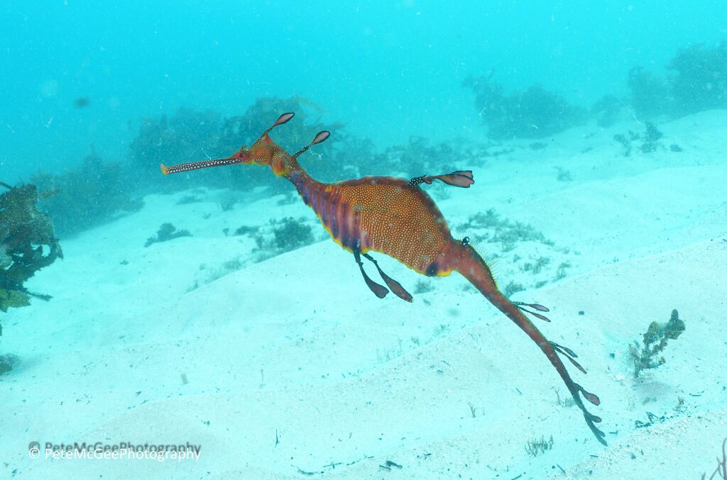 a477ee9d-a8c7-4140-8eaa-66207042ab33