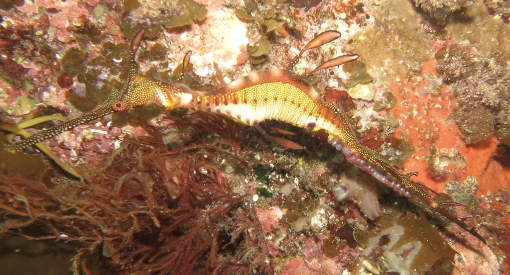 052bf3d7-912b-409b-b080-e4014afcd5d4