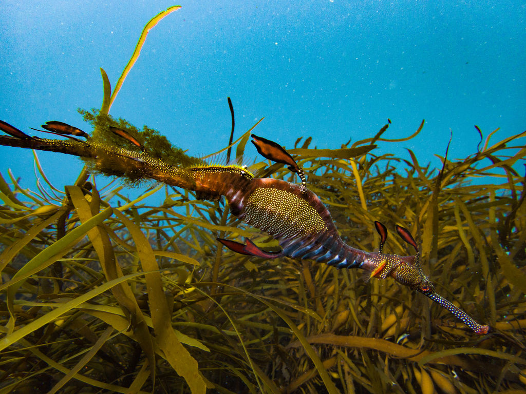 f51bf4fd-71c4-430e-9866-1407c1ab3a40