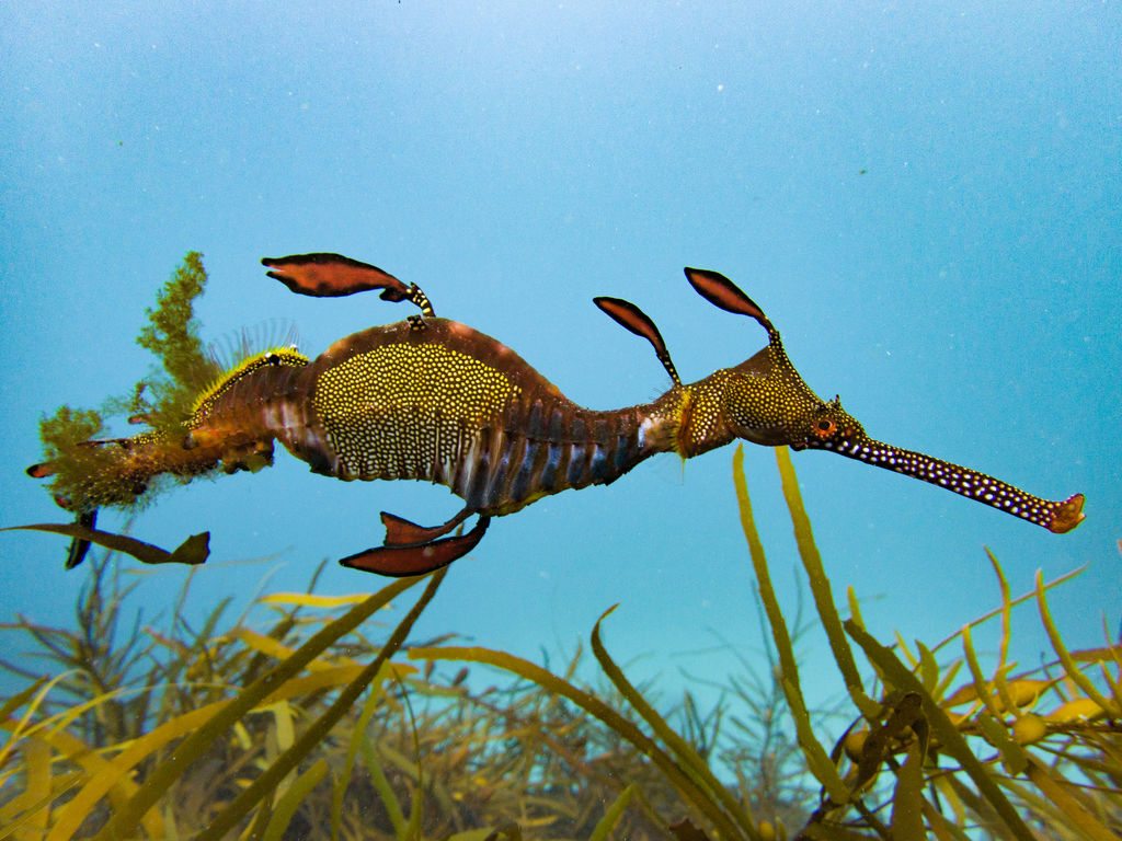 f51bf4fd-71c4-430e-9866-1407c1ab3a40