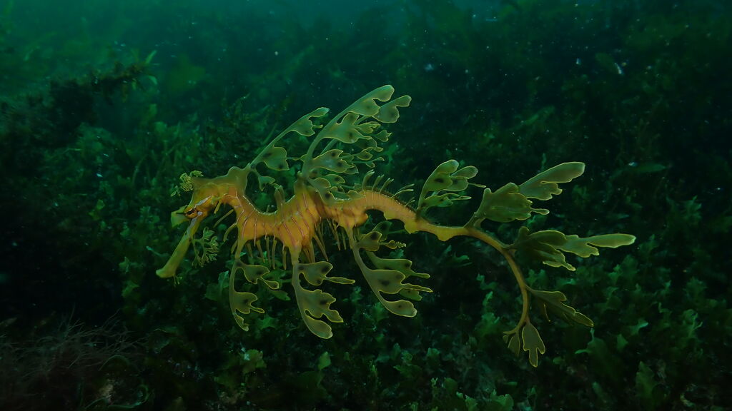 5c8d1d0c-82c1-49eb-b234-b85785ad591b