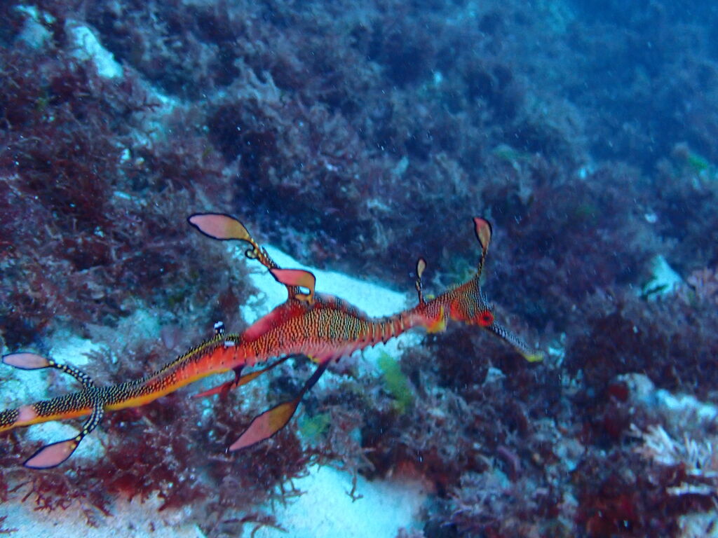 ae0a483d-52ad-473f-9c53-166102b96509